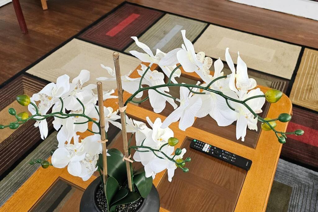马斯基根Terrace House公寓 外观 照片